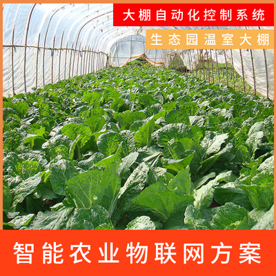 科技賦能，綠色未來 智能大棚與生態農業的融合開發之路
