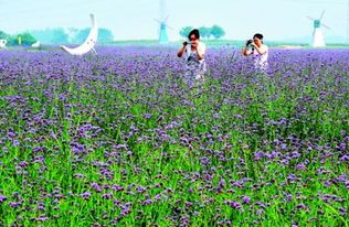 生態農業好風光 開啟農業開發的綠色新篇章